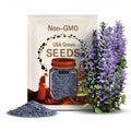 Dwarf Blue Curled Kale (Brassica oleracea) 150 Seeds (1 gram) by Smoke Camp Crafts