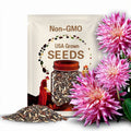 20+ Seeds| Bristol Stripe Dahlia Seeds - Perennial - Flowering - Hybrid - Open-Pollinating - Fast Growing - Clumping - Plant in Spring #D085