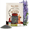 Blue Skullcap Flower Seeds - Heirloom Seeds, Mad Dog Skullcap, Virginia Skullcap, Medicinal Herb, Pollinator Garden, Non-GMO