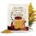 10 Golden Mimosa SEEDS ready to plant now